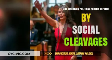Social Cleavages: Shaping American Political Party Identities and Divisions