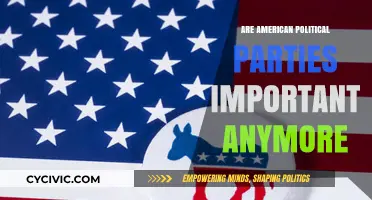 Do American Political Parties Still Matter in Today's Divided Landscape?