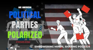 Are American Political Parties Polarized? Examining the Growing Divide