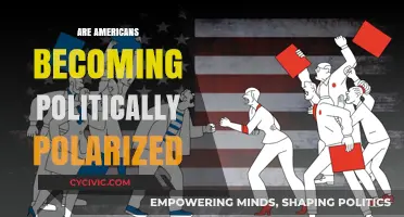Are Americans Becoming Politically Polarized? Exploring the Growing Divide