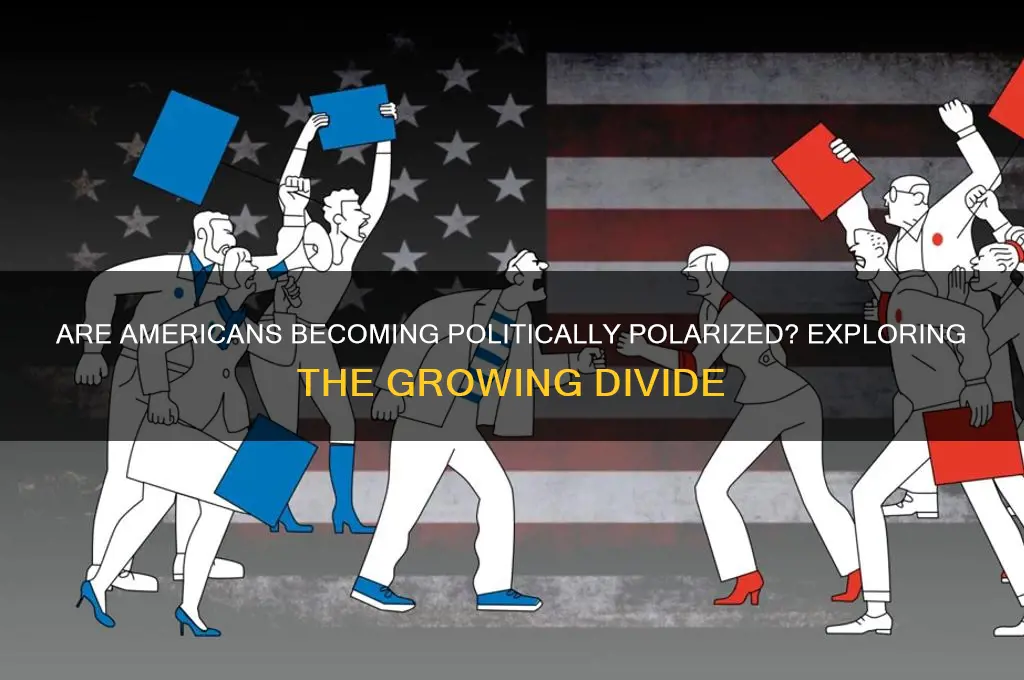 are americans becoming politically polarized