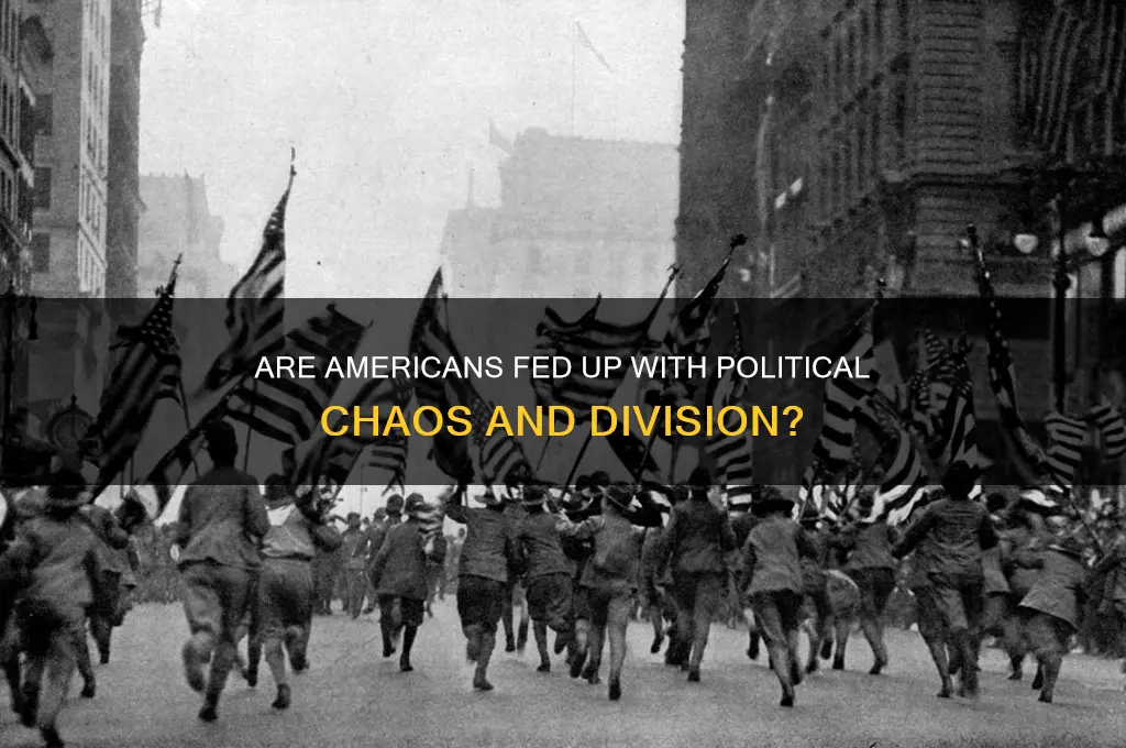 are americans disgusted with politics