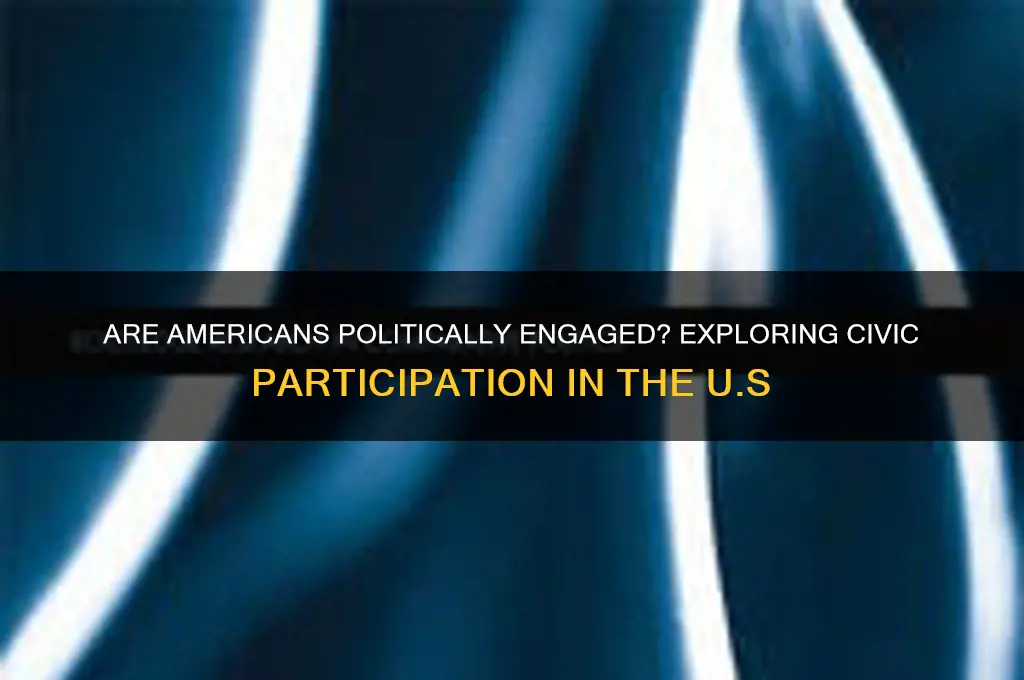 are americans involved with politics