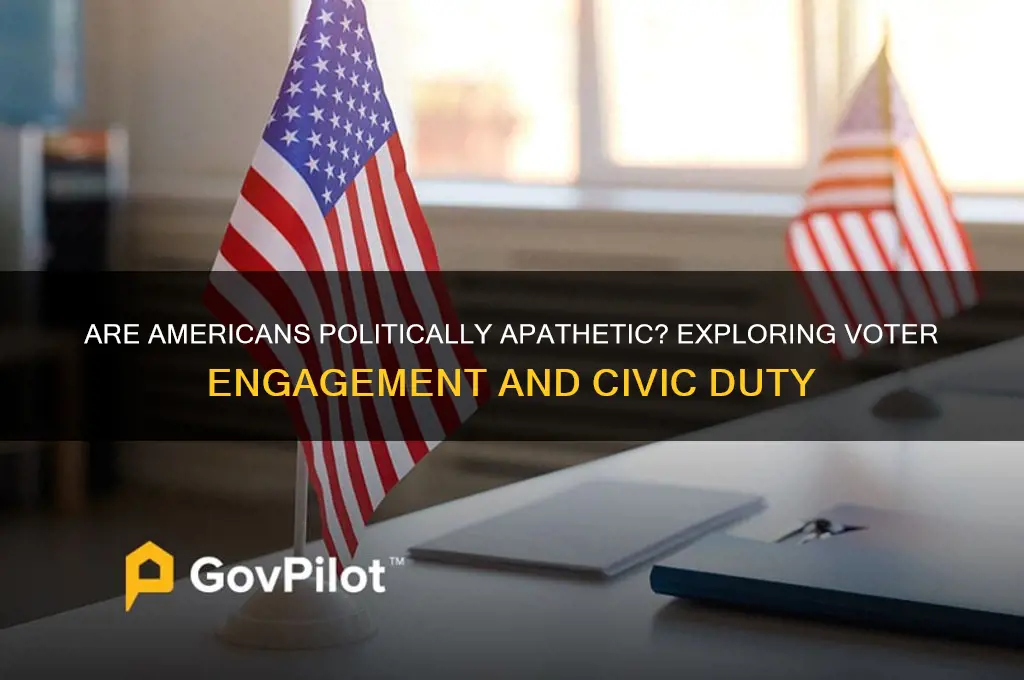 are americans politically apathetic