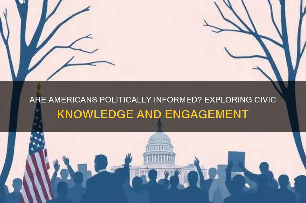 are americans politically informed