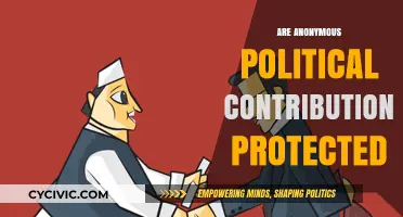 Are Anonymous Political Contributions Protected by Free Speech Rights?