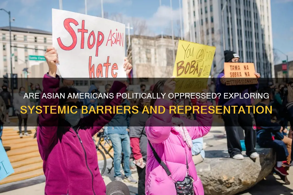 are asian americans politically oppressed