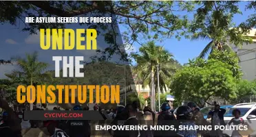 Asylum Seekers: What Constitutional Rights Protect Them?