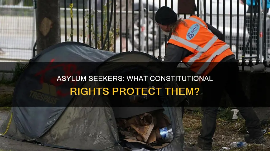 are asylum seekers due process under the constitution