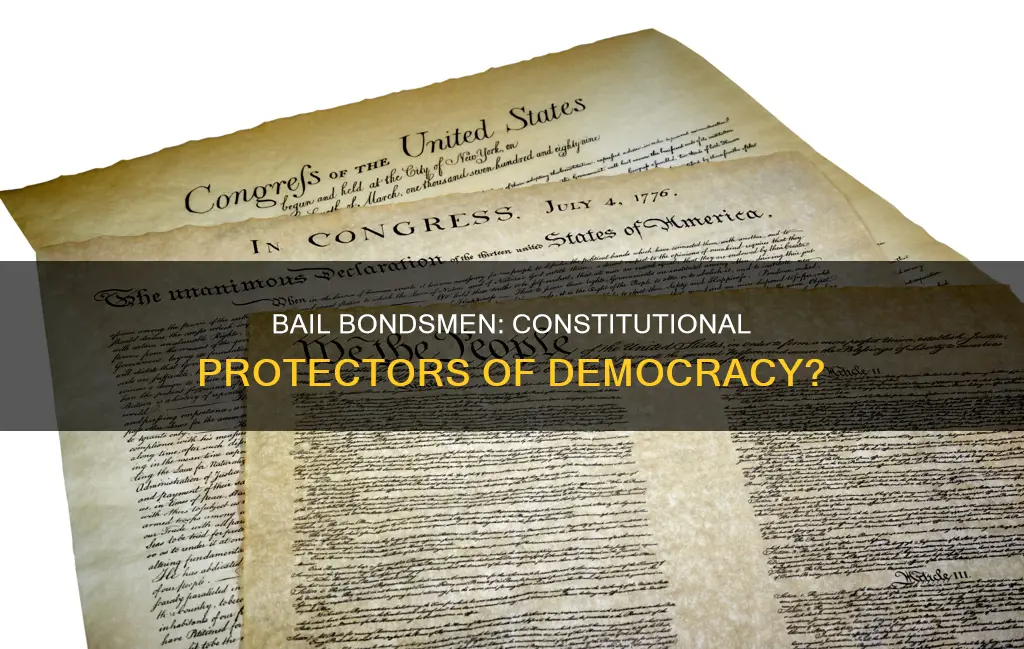 are bail bondsman covered under the constitution to protect democracy