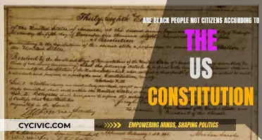 Who is a Citizen? Black People and the US Constitution