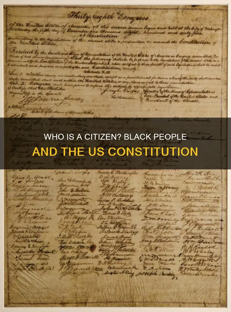 are black people not citizens according to the us constitution
