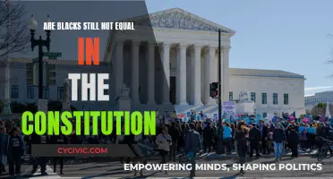 The Constitution's Unkept Promise: Black Equality
