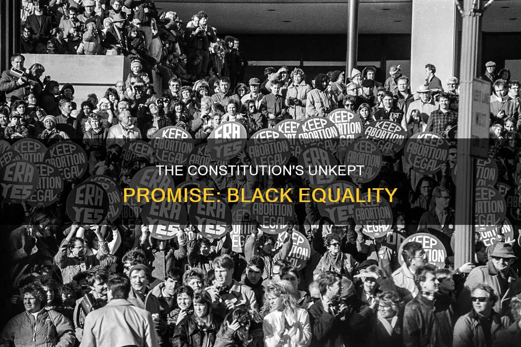 are blacks still not equal in the constitution