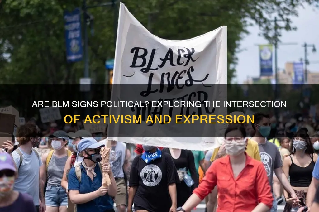 are blm signs political