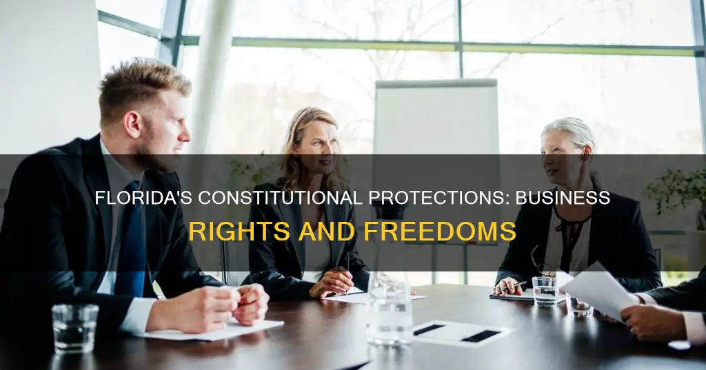 are businesses constitutionally protected in florida