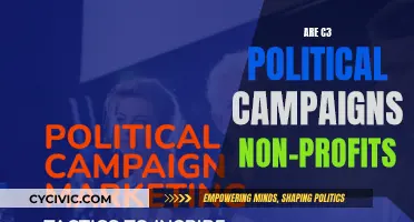 Political Campaigns: C3 Non-Profits?