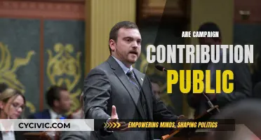 Who Funds Political Campaigns? Public Money, Public Knowledge