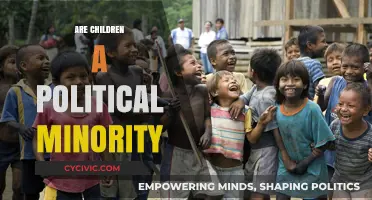 Children as Political Minorities: Rights, Representation, and Societal Responsibilities