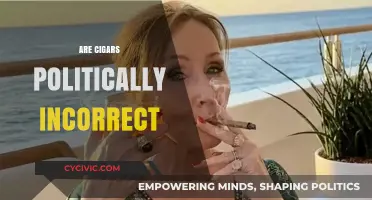 Are Cigars Politically Incorrect? Exploring the Social and Cultural Debate