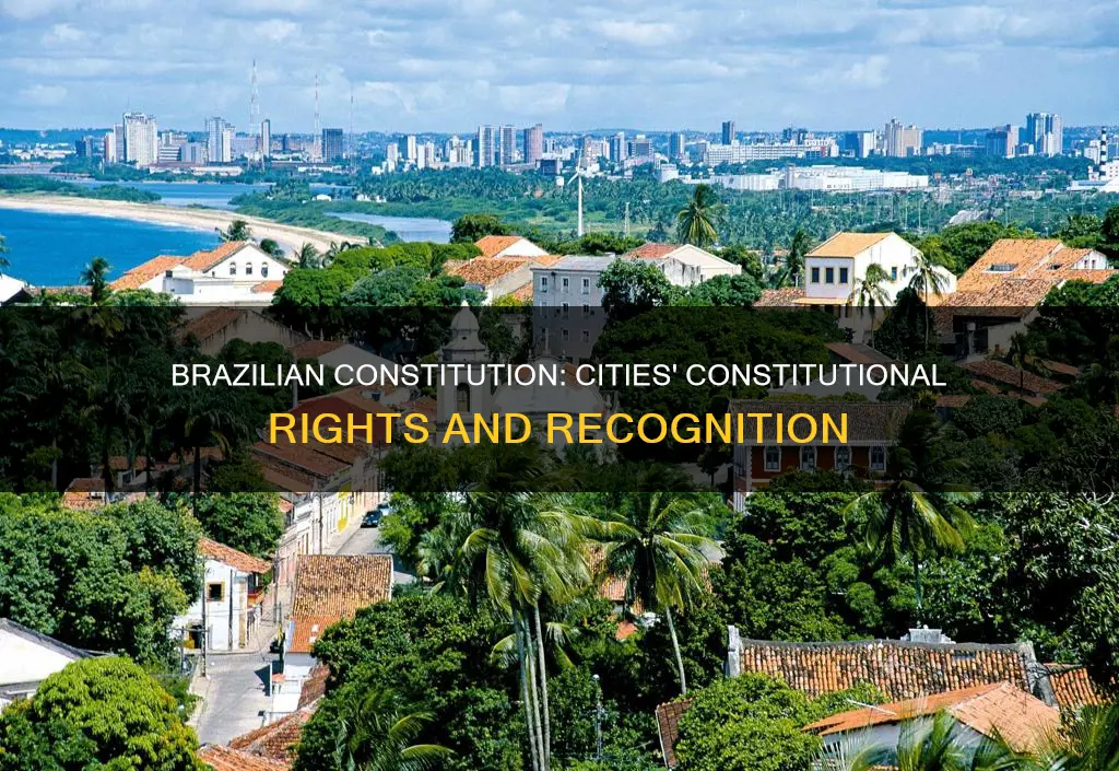 are cities part of brazilian constitution