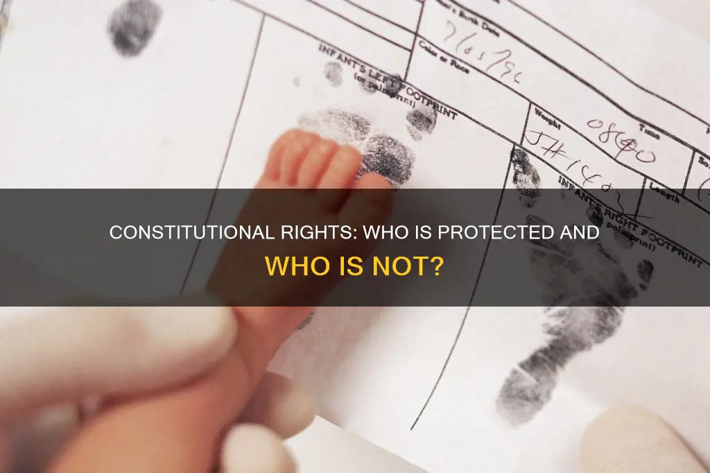 are citizens of other countries protected by the constitution