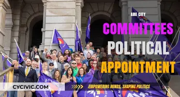 Are City Committees Political Appointments? Unveiling Local Governance Dynamics
