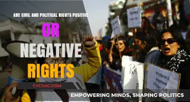 Exploring the Dichotomy: Civil and Political Rights as Positive or Negative Entitlements
