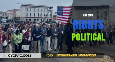 Exploring the Intersection of Civil Rights and Politics