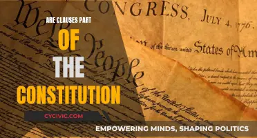Understanding the Role of Clauses in Constitution Formation