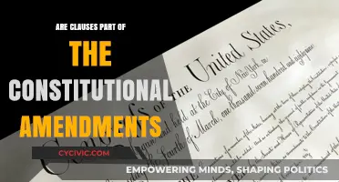 Understanding Constitutional Amendments and Their Clauses