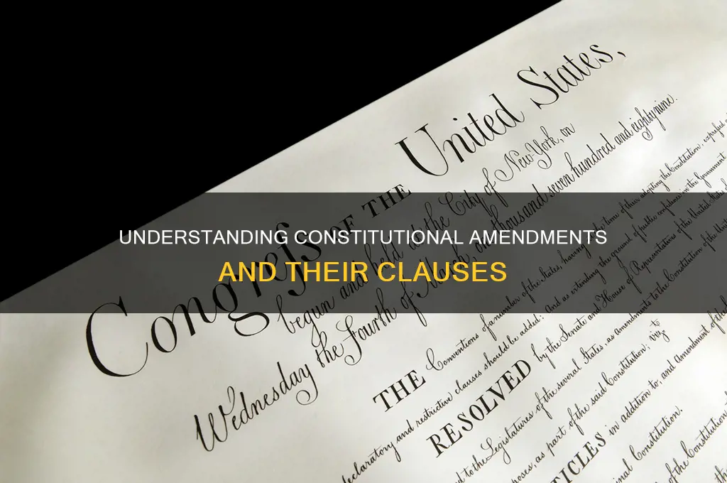 are clauses part of the constitutional amendments