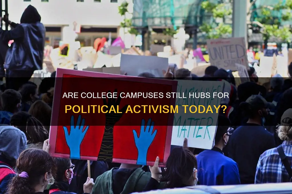 are college students politically active