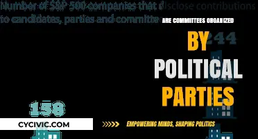 Are Political Party Committees Truly Organized for Effective Governance?