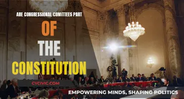 Congressional Committees: Constitutional or Not?