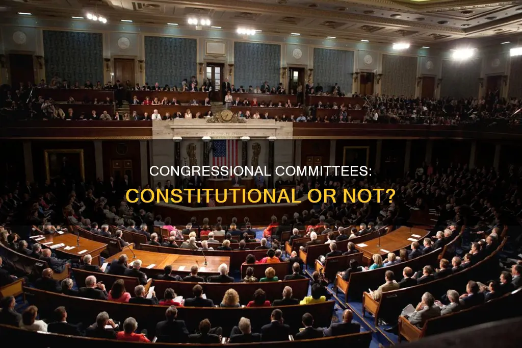 are congressional comittees part of the constitution