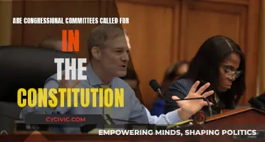 Congressional Committees: Are They Constitutional?