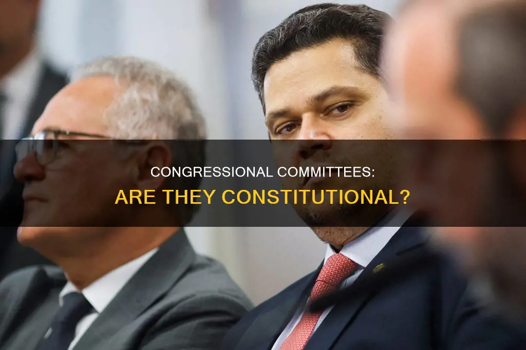 are congressional committees called for in the constitution