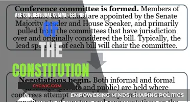 Congressional Committees: Constitutional or Not?