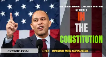 Leadership Positions: Are They Constitutional?