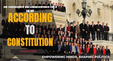 Congress Members' Salaries: What Does the Constitution Say?