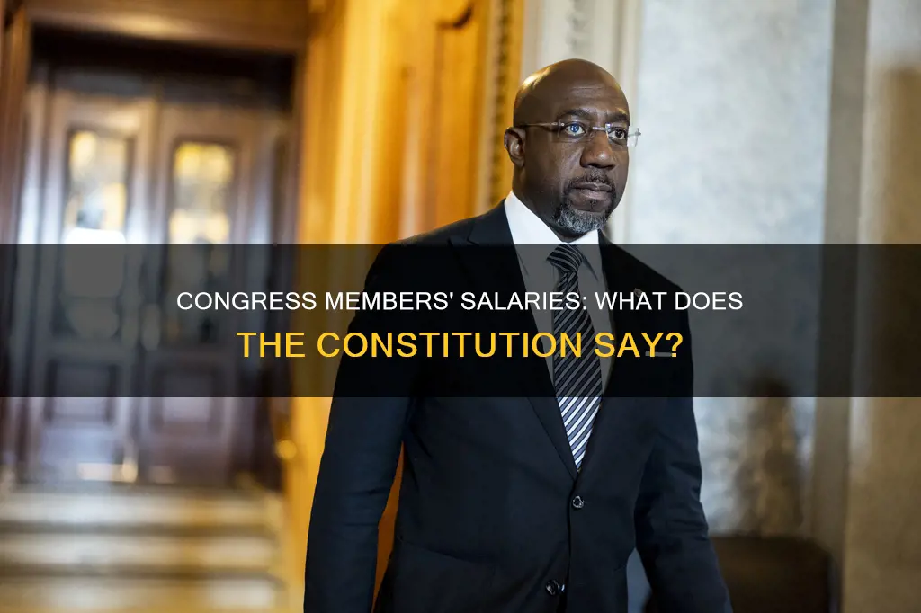 are congressmen and congresswomen paid a salary according to constitution