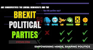 Conservatives, Lib Dems, and Brexit Parties: Political Alignments Explored
