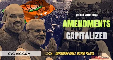 Capitalizing Constitutional Amendments: What's the Rule?