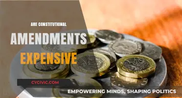 The High Cost of Constitutional Amendments