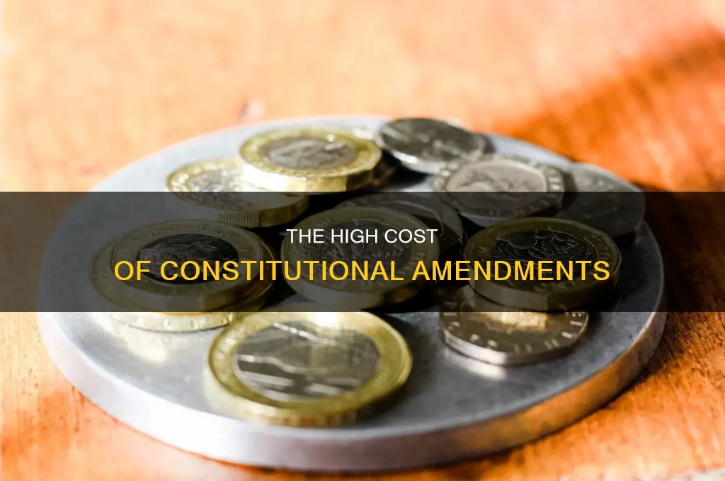 are constitutional amendments expensive