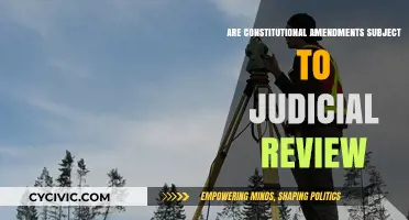 Judicial Review: Can Amendments Be Challenged?