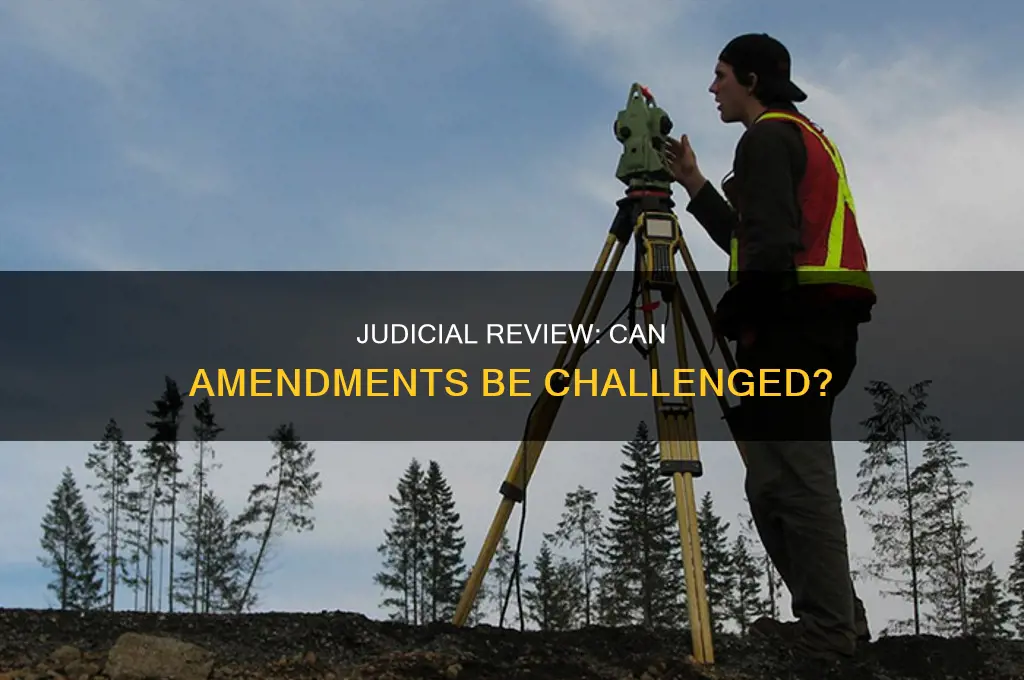 are constitutional amendments subject to judicial review