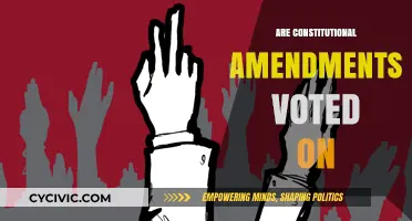 How Amendments Gain Traction: The Voting Process