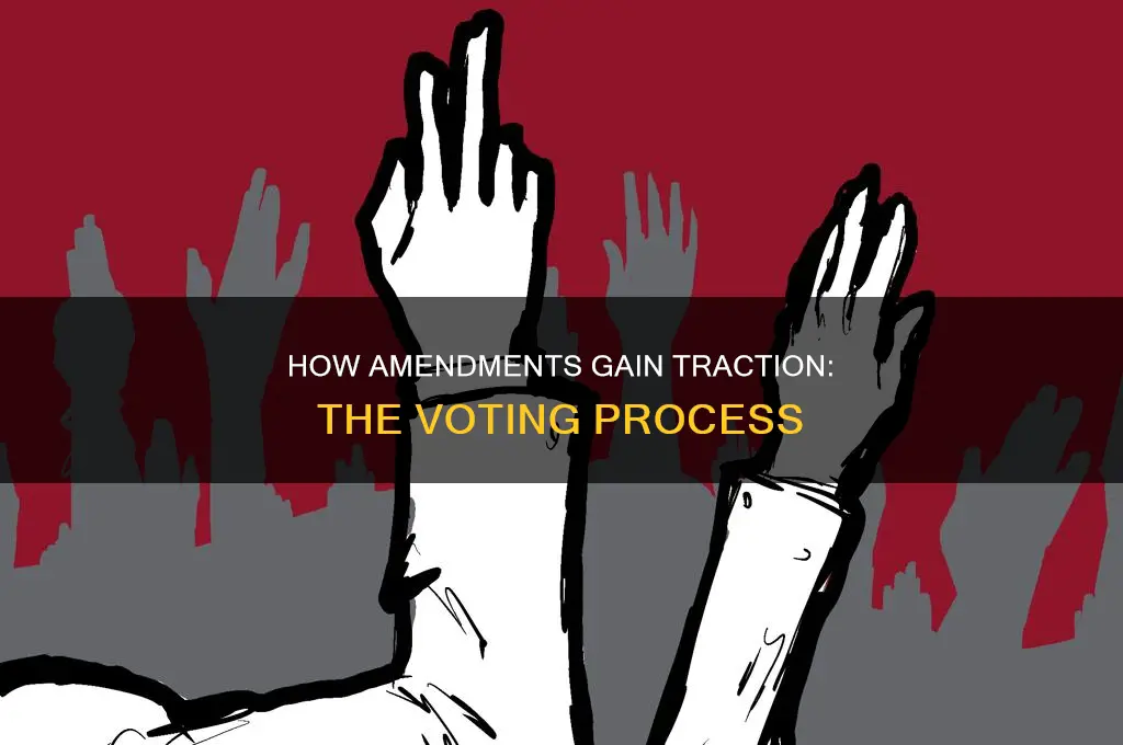 are constitutional amendments voted on